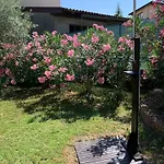 La Bolvedrina - Garden And View Apartments,
