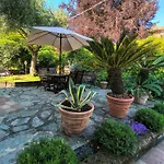 Appartamento La Bolvedrina - Garden And View Apartments, Tremezzo