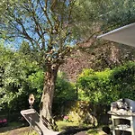 La Bolvedrina - Garden And View Apartments, Appartamento Tremezzo