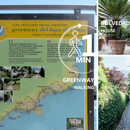 Apartamento La Bolvedrina - - Garden & First Floor Tremezzo