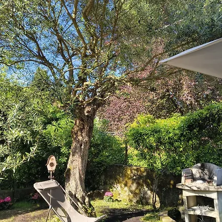 La Bolvedrina - Garden And View Apartments, Apartment Tremezzo